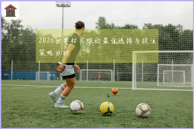 2026世界杯买球的最佳选择与投注策略分析