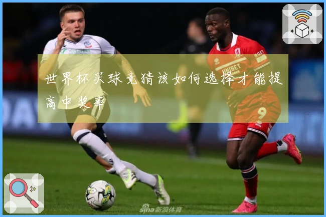 世界杯买球竞猜该如何选择才能提高中奖率