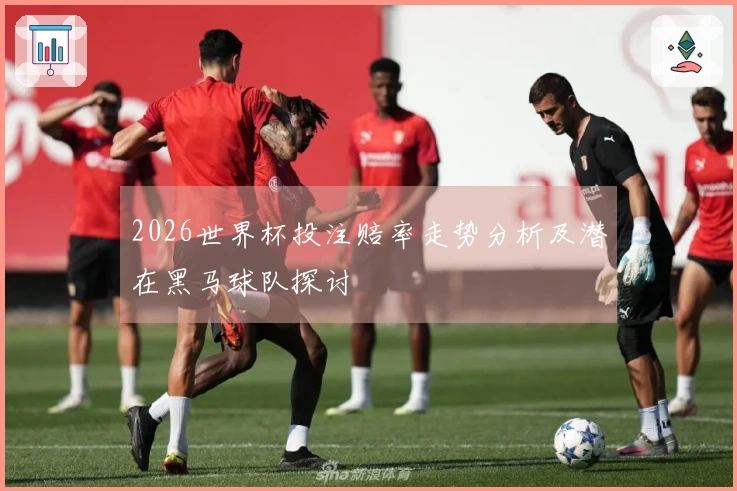 2026世界杯投注赔率走势分析及潜在黑马球队探讨