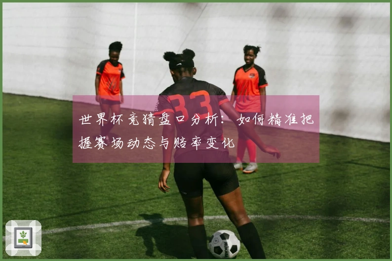 世界杯竞猜盘口分析：如何精准把握赛场动态与赔率变化