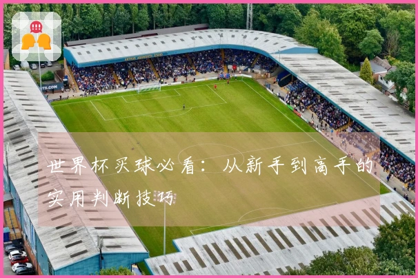 世界杯买球必看：从新手到高手的实用判断技巧
