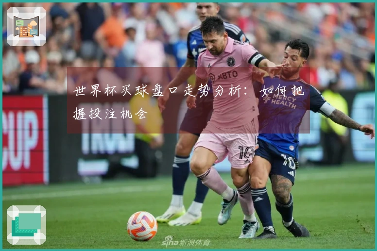 世界杯买球盘口走势分析：如何把握投注机会