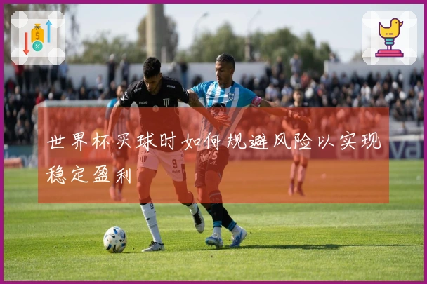 世界杯买球时如何规避风险以实现稳定盈利