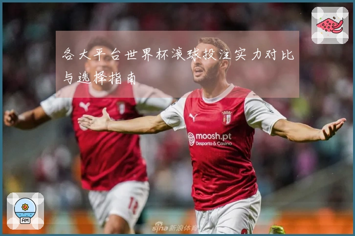 各大平台世界杯滚球投注实力对比与选择指南