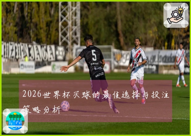 2026世界杯买球的最佳选择与投注策略分析